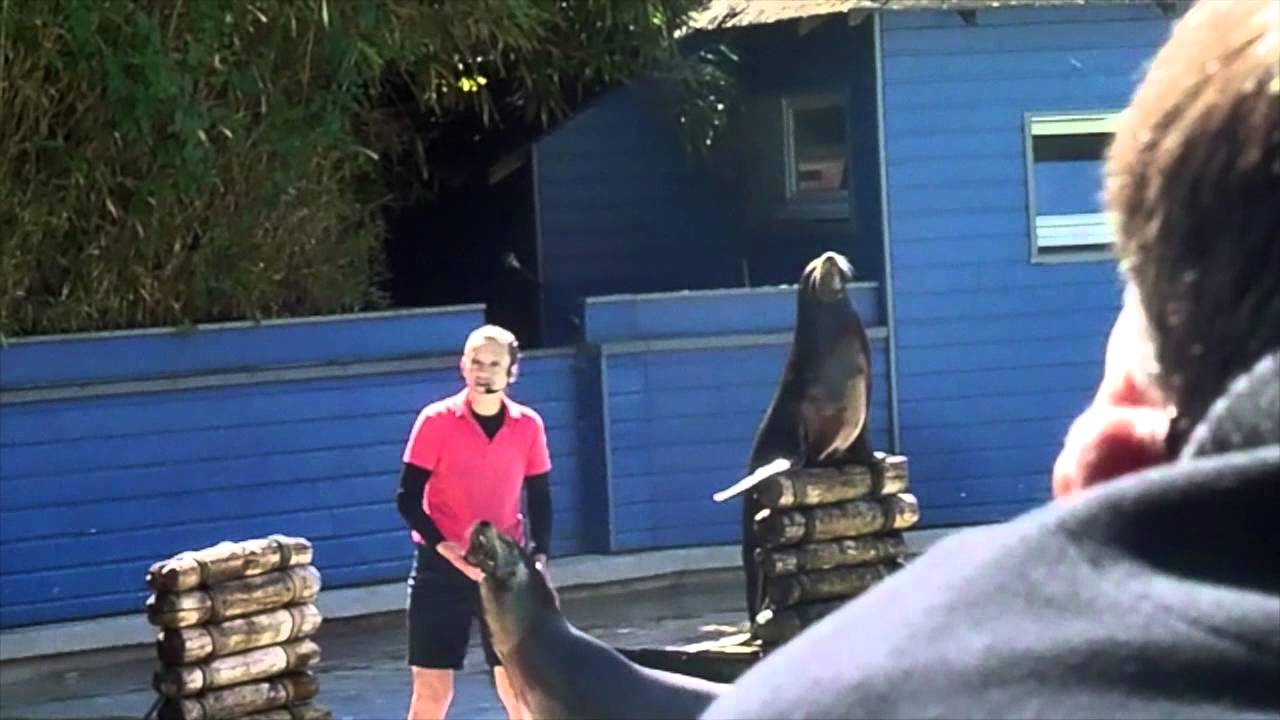 Une journée au Zoo de la Flèche avec moi Vlog #2