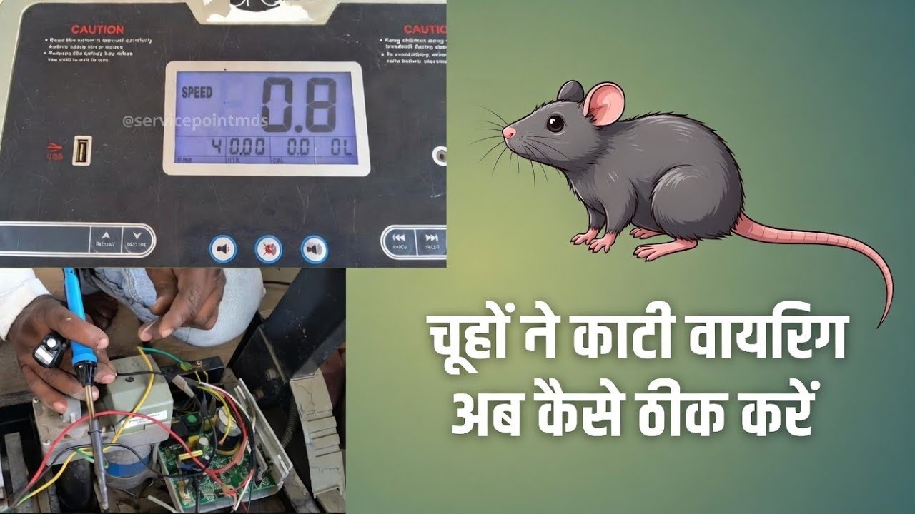 Treadmill Not Working? Rat Cut Wires Repair Step By Step |@diydrnadeem 