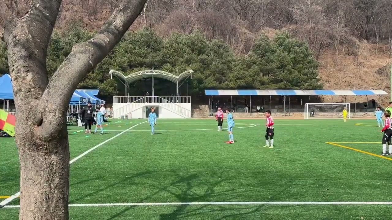 아리v더베스트2쿼터