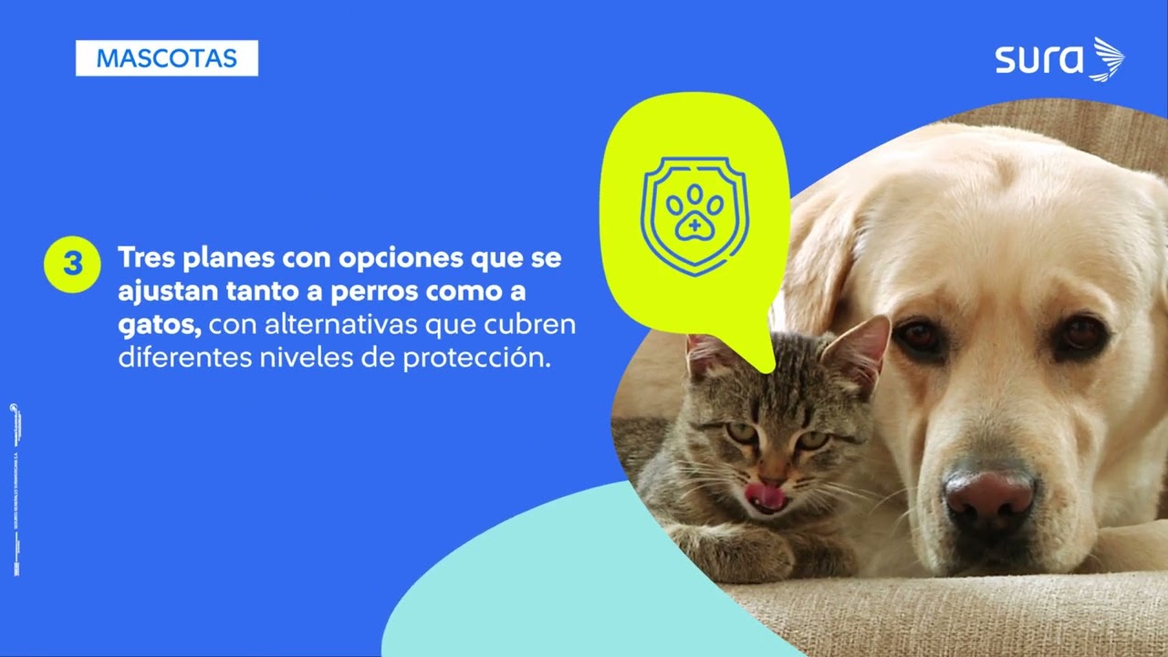 Descubre por qu&eacute; la p&oacute;liza Salud para Mascotas de SURA es la mejor opci&oacute;n
