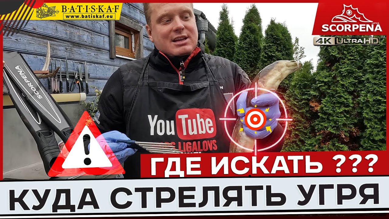 Где искать и куда стрелять угря
