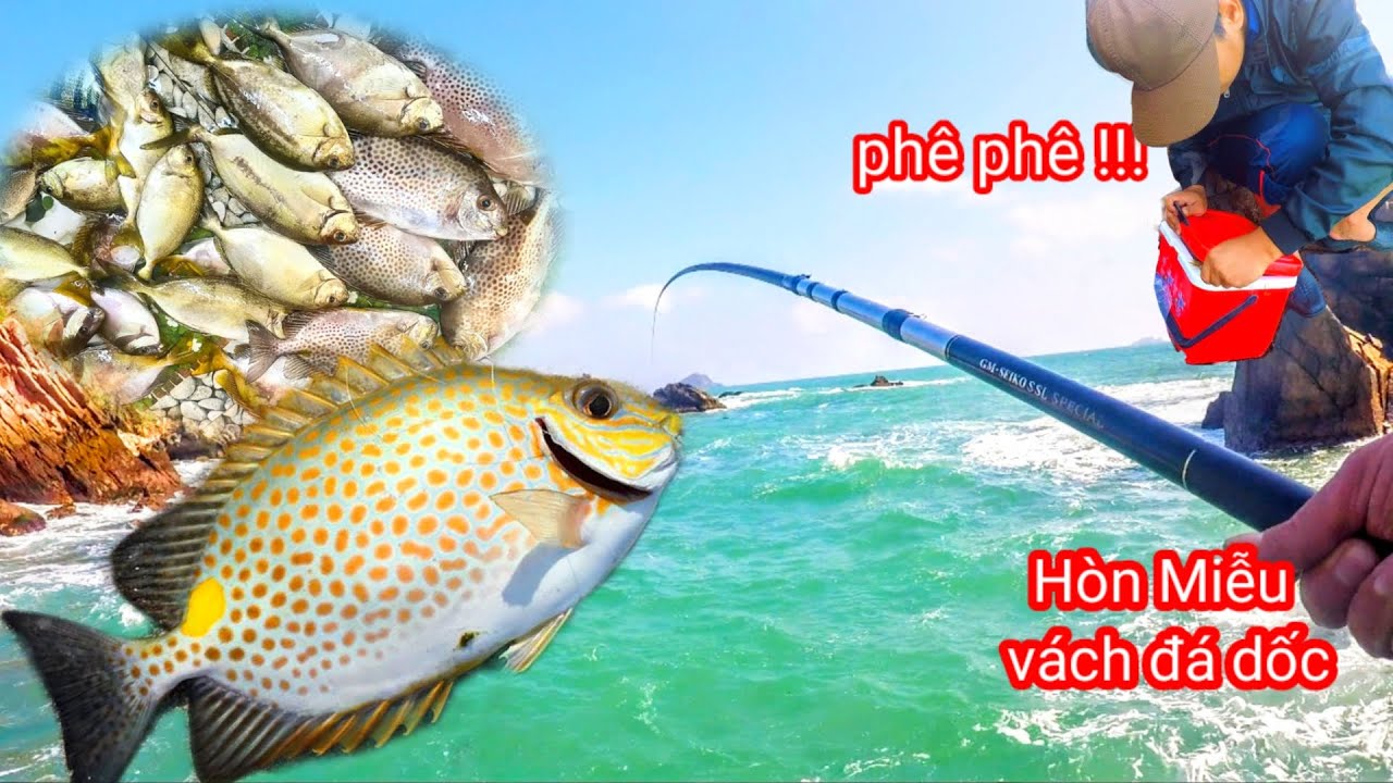 C&acirc;u C&aacute; Biển Tự Nhi&ecirc;n Mới Nhất Năm 2025, H&ograve;n Miễu V&aacute;ch Đ&aacute; Dốc, Tr&uacute;ng C&aacute; D&igrave;a, C&aacute; Gi&ograve; D&eacute;p Khủng Khiếp !
