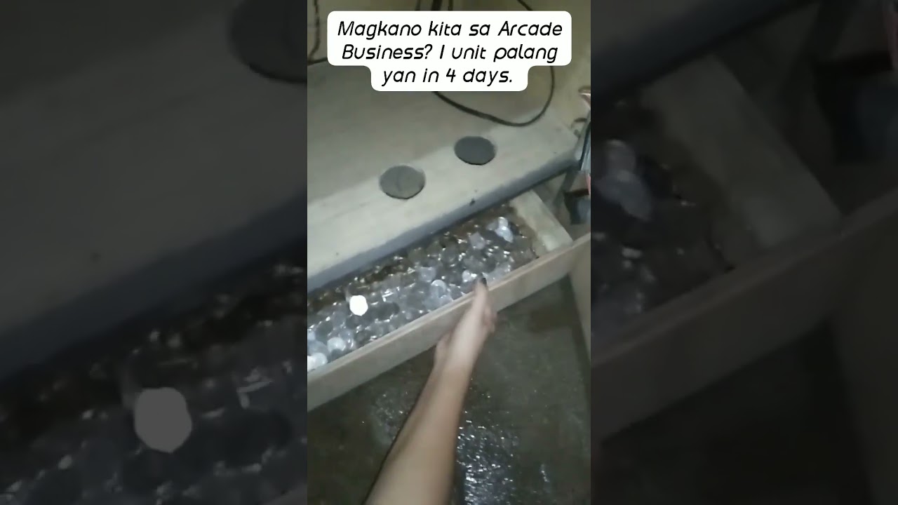 4 DAYS INCOME SA ARCADE BUSINESS (1 UNIT PALANG YAN)