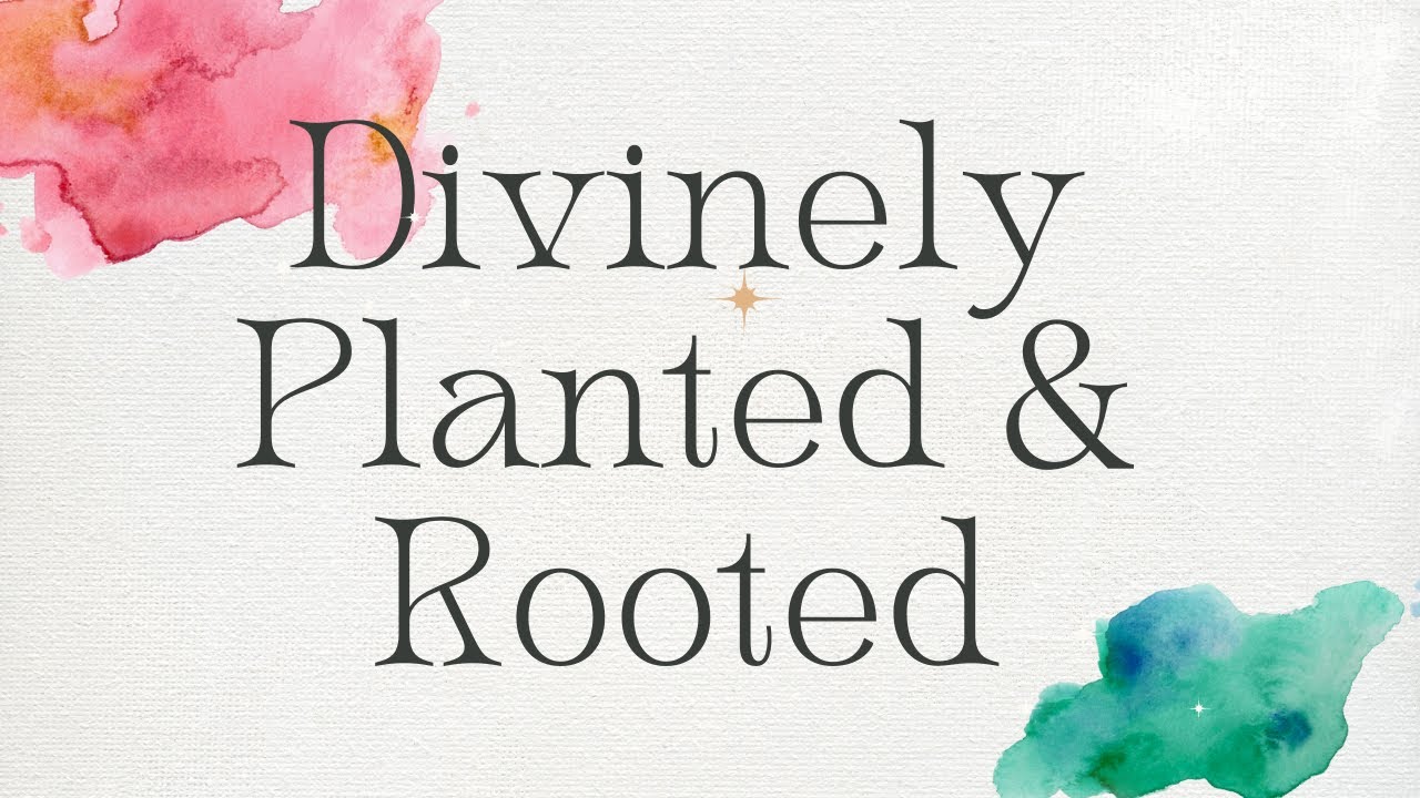 Like NEVER Before, You Will Be Divinely Planted & Rooted Into Your New LIFE.