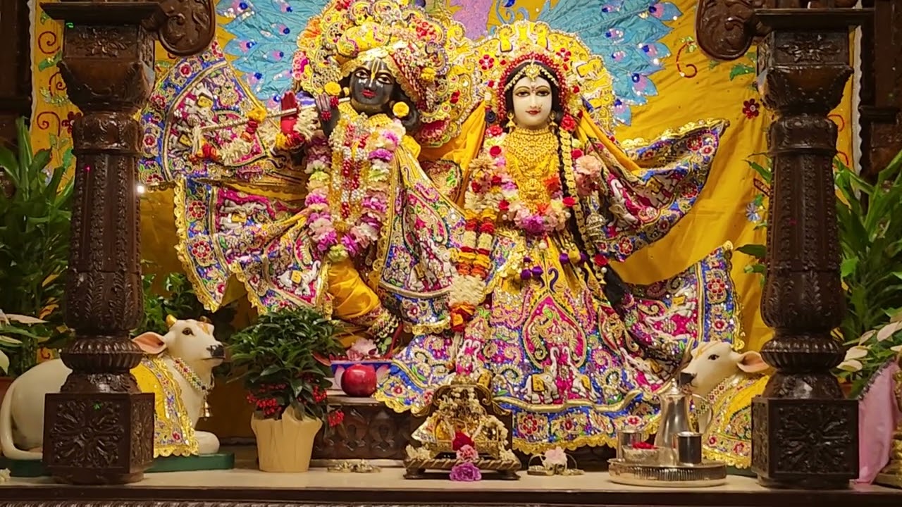 Rukmini Devi Dasi  / Hare Krishna kirtan  / Iskcon Toronto canada 🇨🇦 &hearts;️ 🔥 👌 💯 it's happening now
