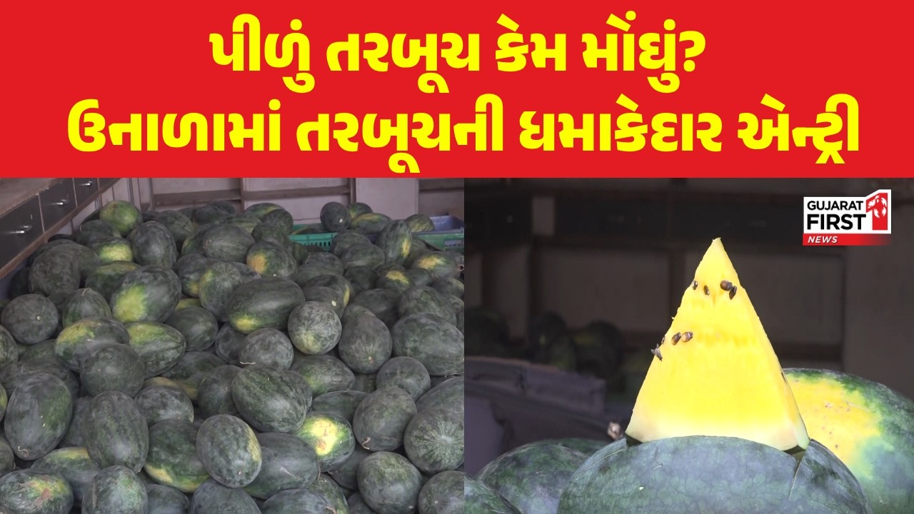 Jamnagar Watermelon: ઉનાળાની શરૂઆતમાં બજારમાં તરબૂચનું થયું આગમન