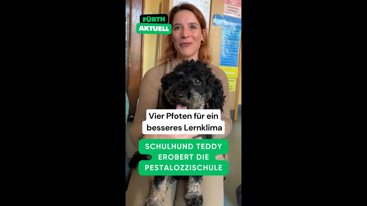 Vier Pfoten für ein gutes Lernklima: Schulhund Teddy erobert die Pestalozzischule in Fürth