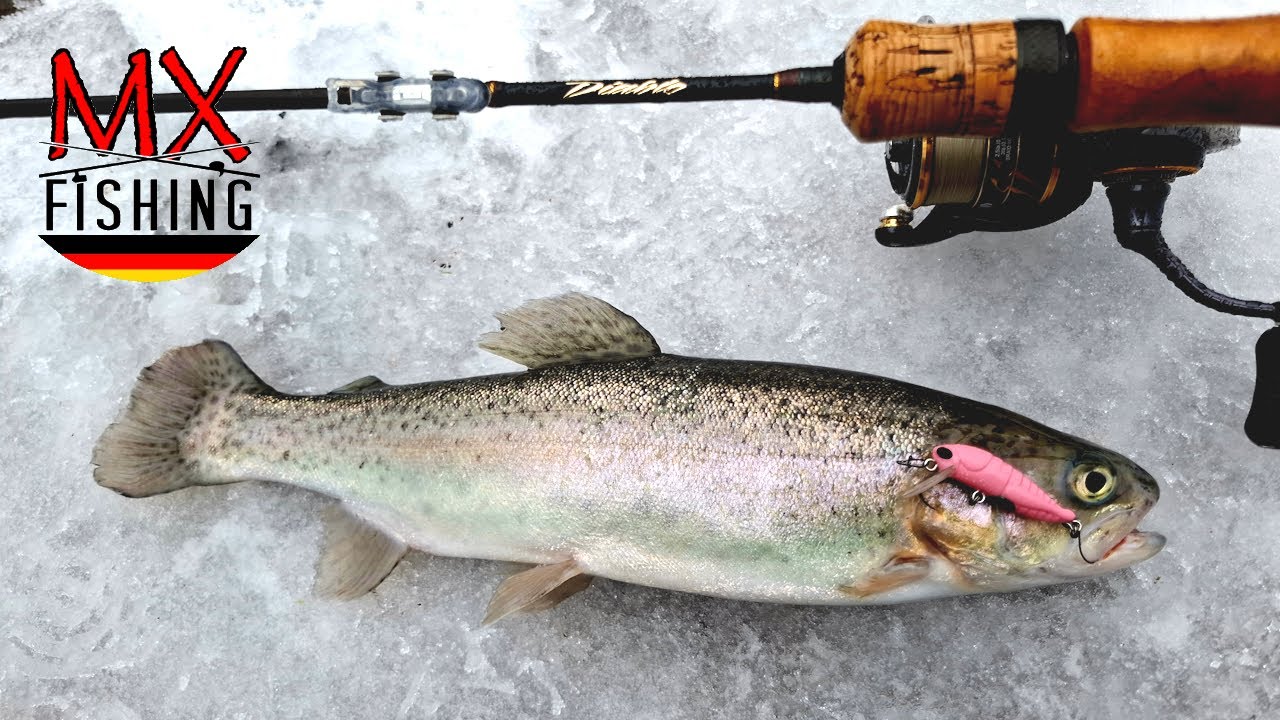 ⁣Sauharter Start ins neue Jahr/ Forellen fischen mit Kunstködern/ Trout Area