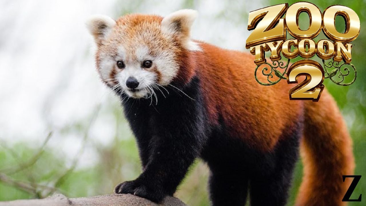 Zoo Tycoon 2 Exhibit Speed Build || Red Panda