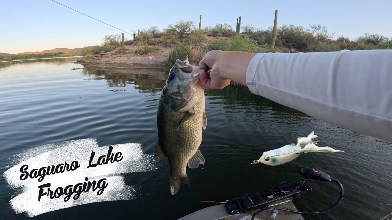 Explosive Topwater Strikes at Saguaro Lake!