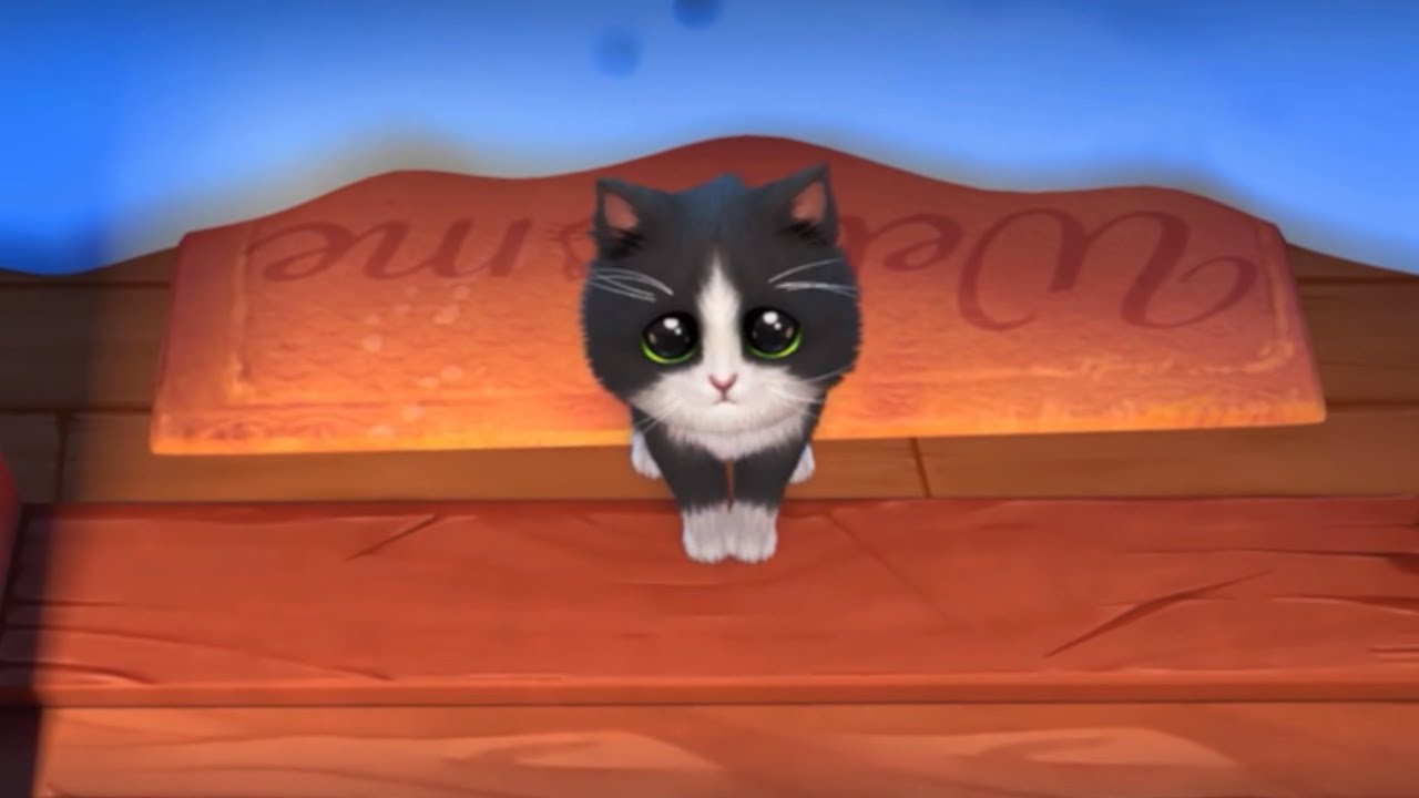 Kitten Match: Opening Scene 