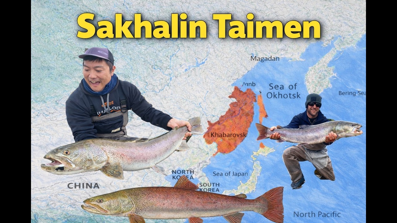 Sakhalin Taimen