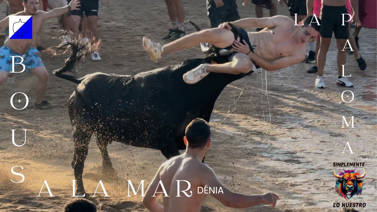 🔝QUE LOCURA‼️DENIA BOUS A LA MAR. LA PALOMA 10.7.25