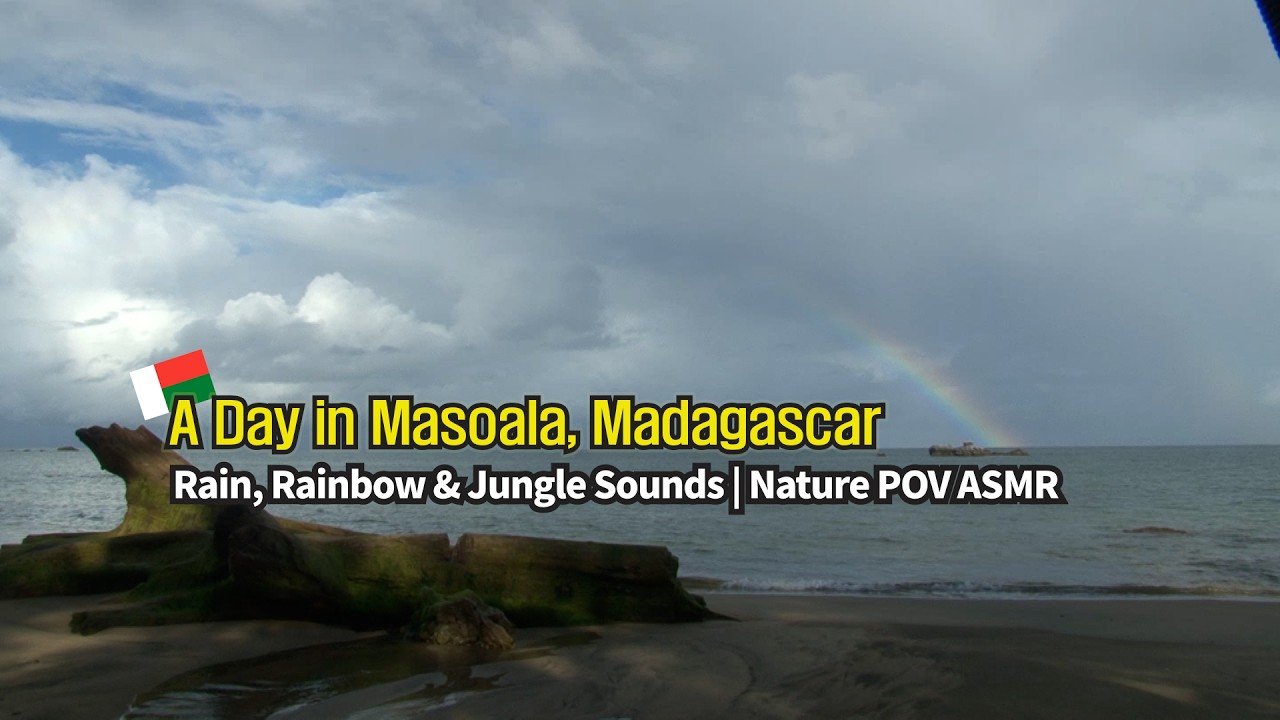 A Day in Masoala, Madagascar | Rain, Rainbow & Jungle Sounds | Nature POV ASMR
