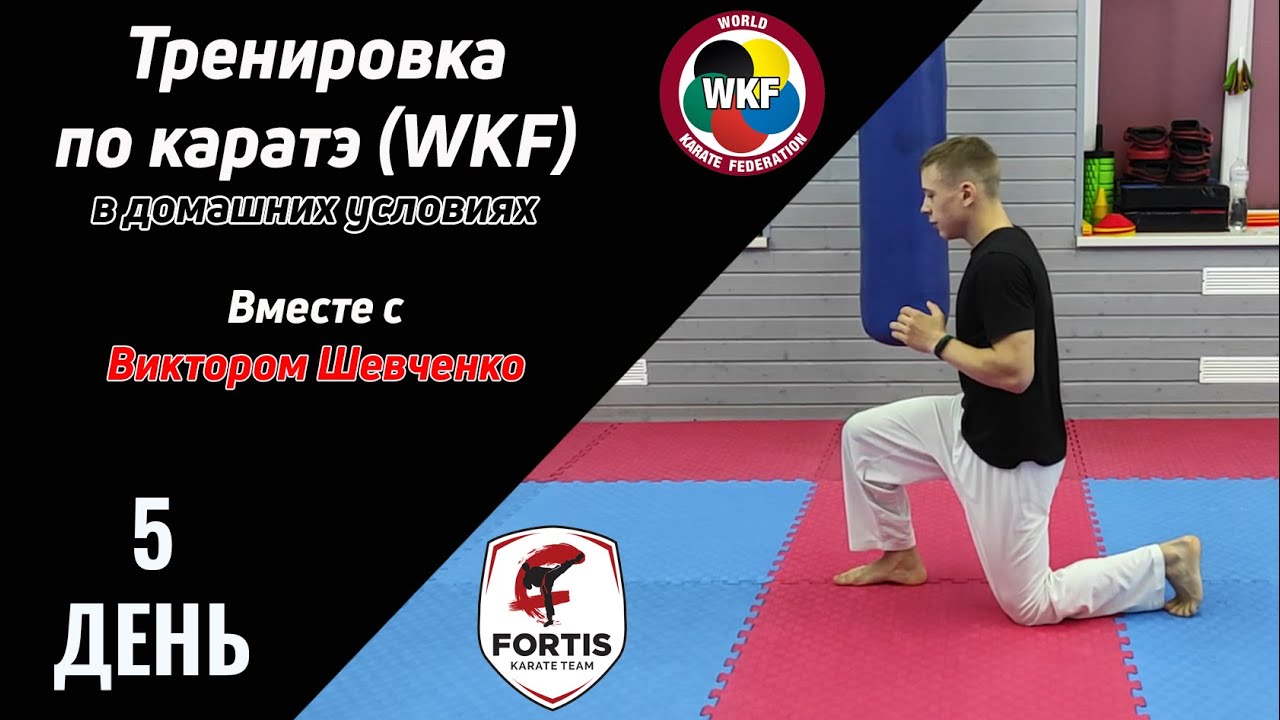 Тренировка по каратэ (WKF) в домашних условиях / День 5 / FORTIS KARATE CLUB / Виктор Шевченко
