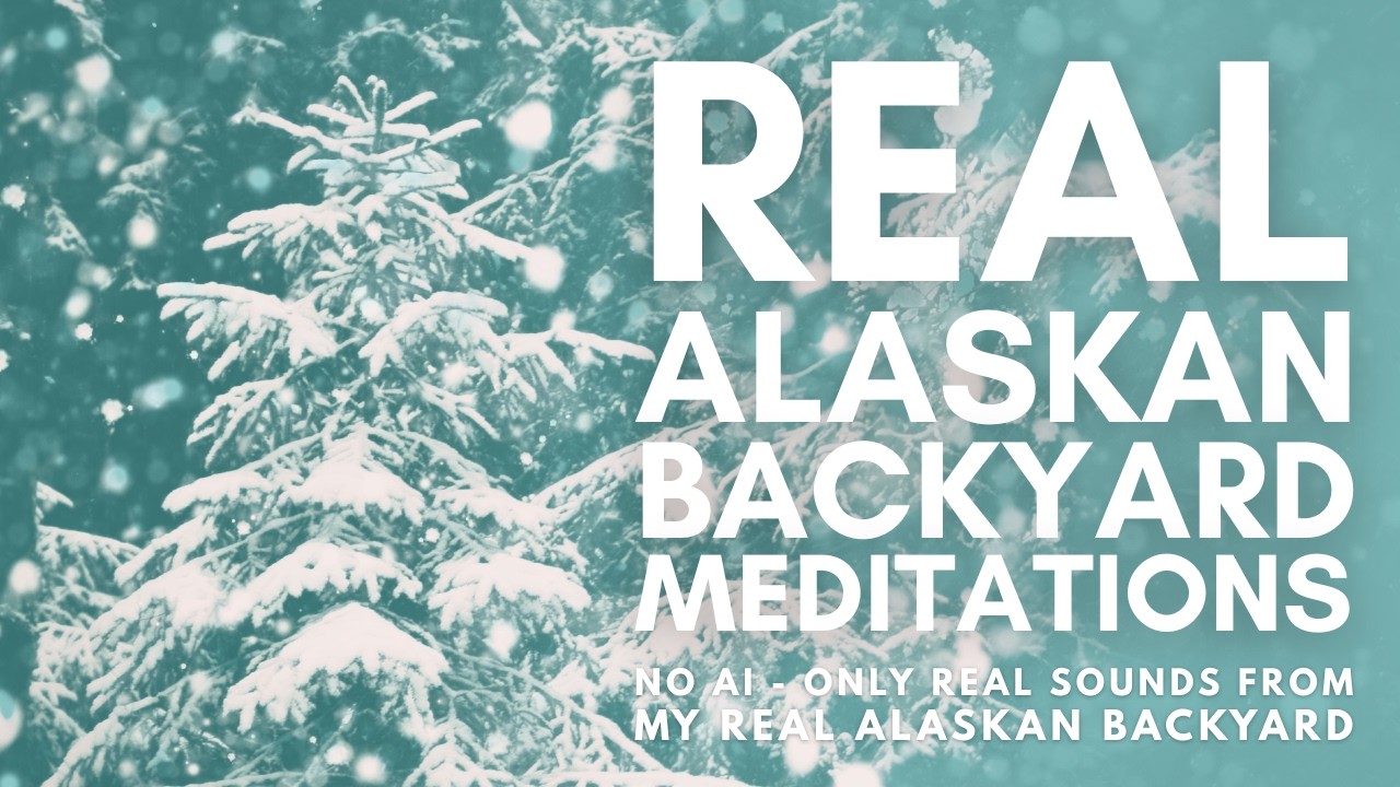 10-Minute Falling Snow Meditation | REAL Alaskan Backyard Meditations | No AI, Just Real Alaska