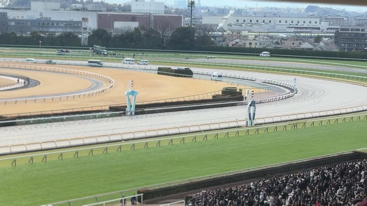 2026年2月1日 東京競馬場 東京9R セントポーリア賞 #東京競馬場 #競馬場 #競馬 #ラストスマイル 