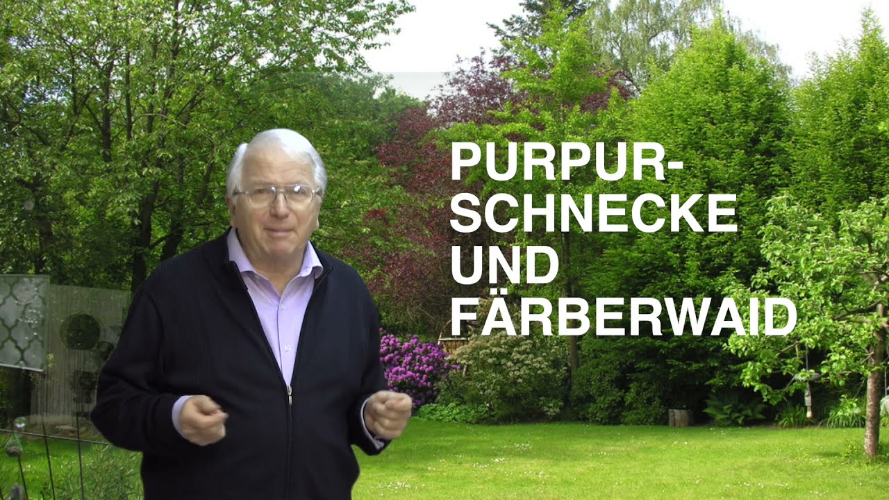 Purpurschnecke und F&auml;rberwaid