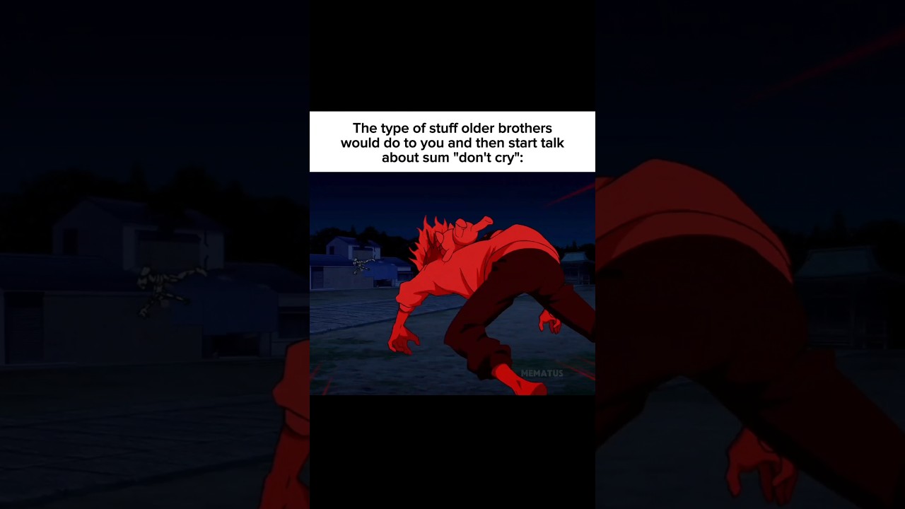 POV: What older brothers would do to you and then say 