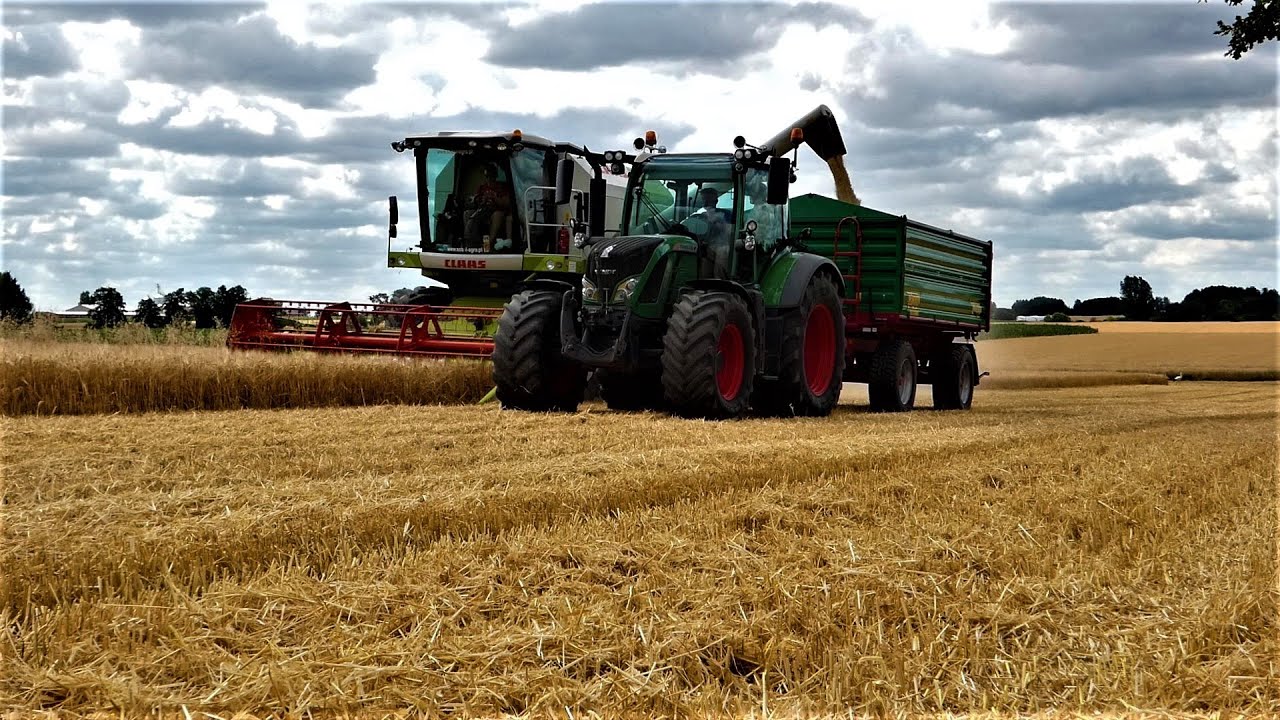 ☆Żniwa 2019☆ Claas avero 240&Fendt 516 Vario ㋡AGRO janeQ ㋡