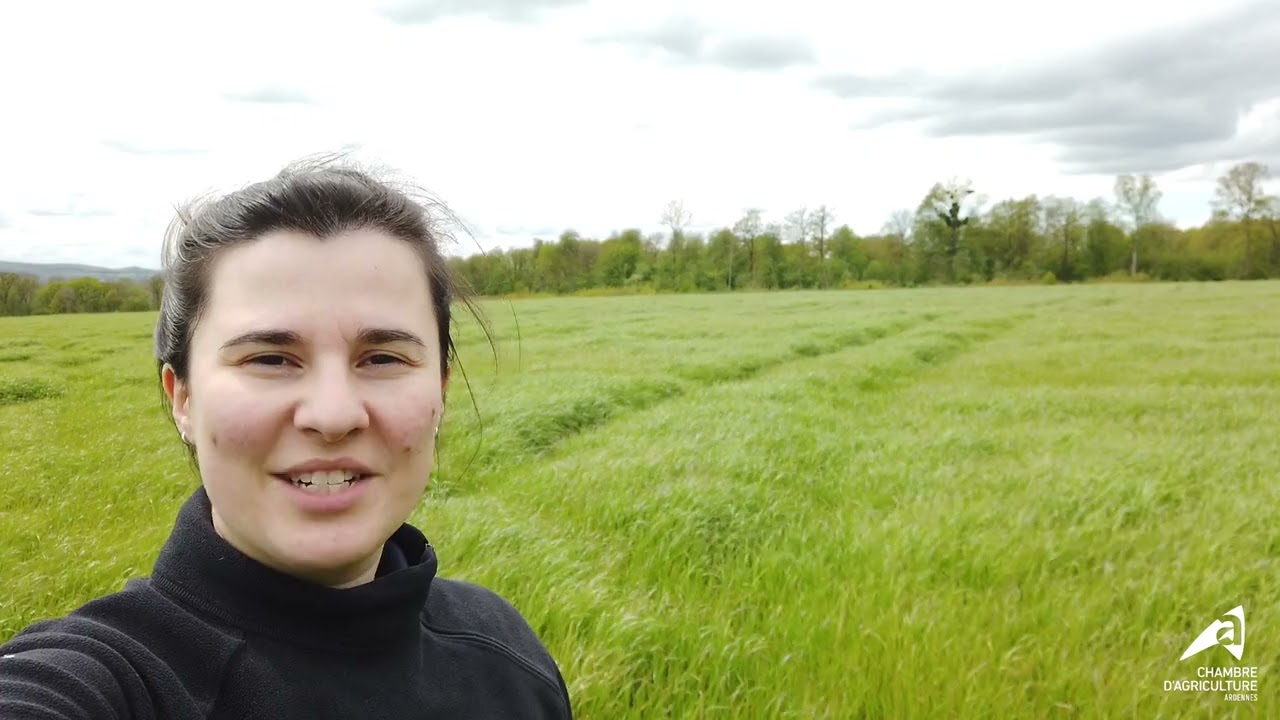 Herbe n°5 : 2ème année prometteuse pour le brome !