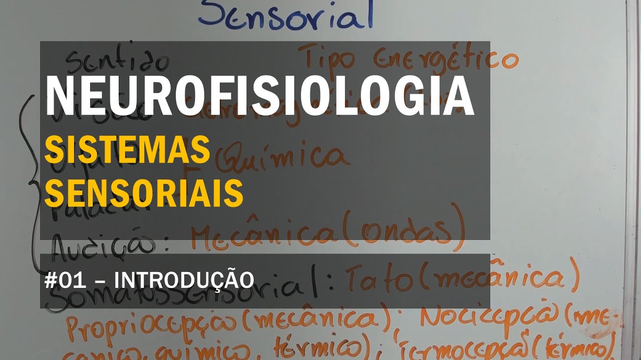 Sistemas Sensoriais - #01 Introdução - Neurofisiologia