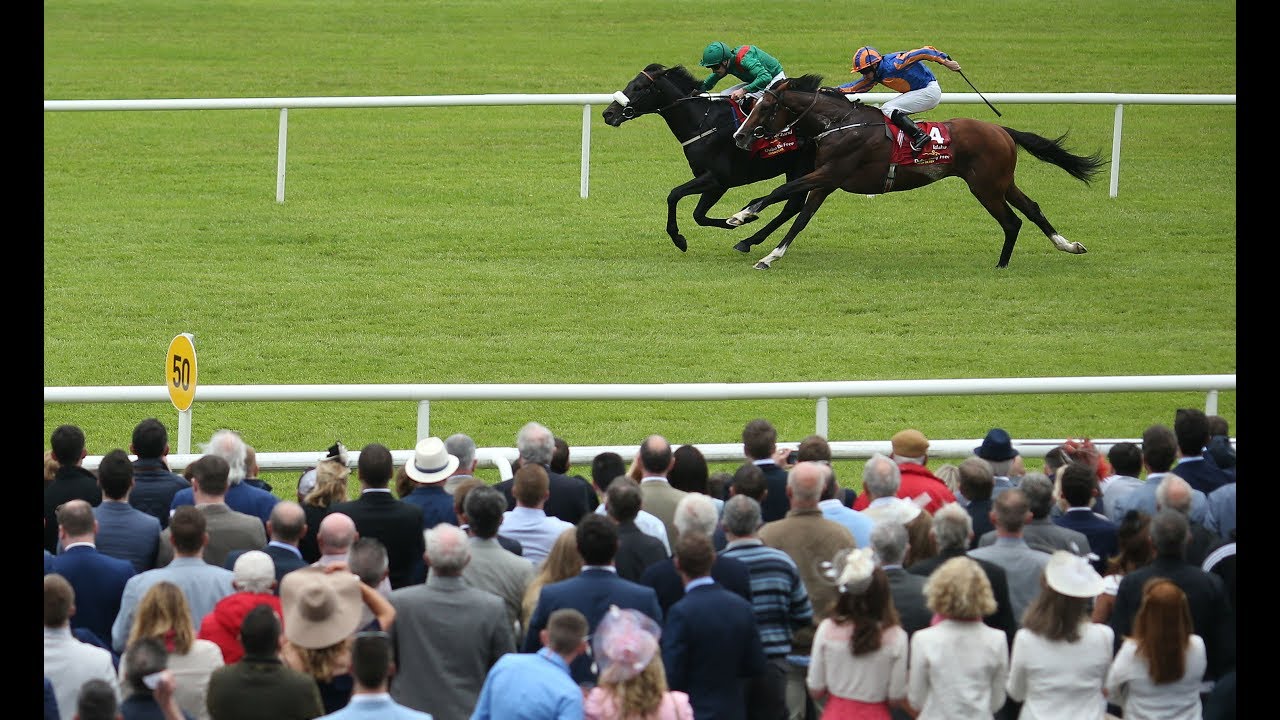 Harzand - Dubai Duty Free Irish Derby (Group 1) - 2016
