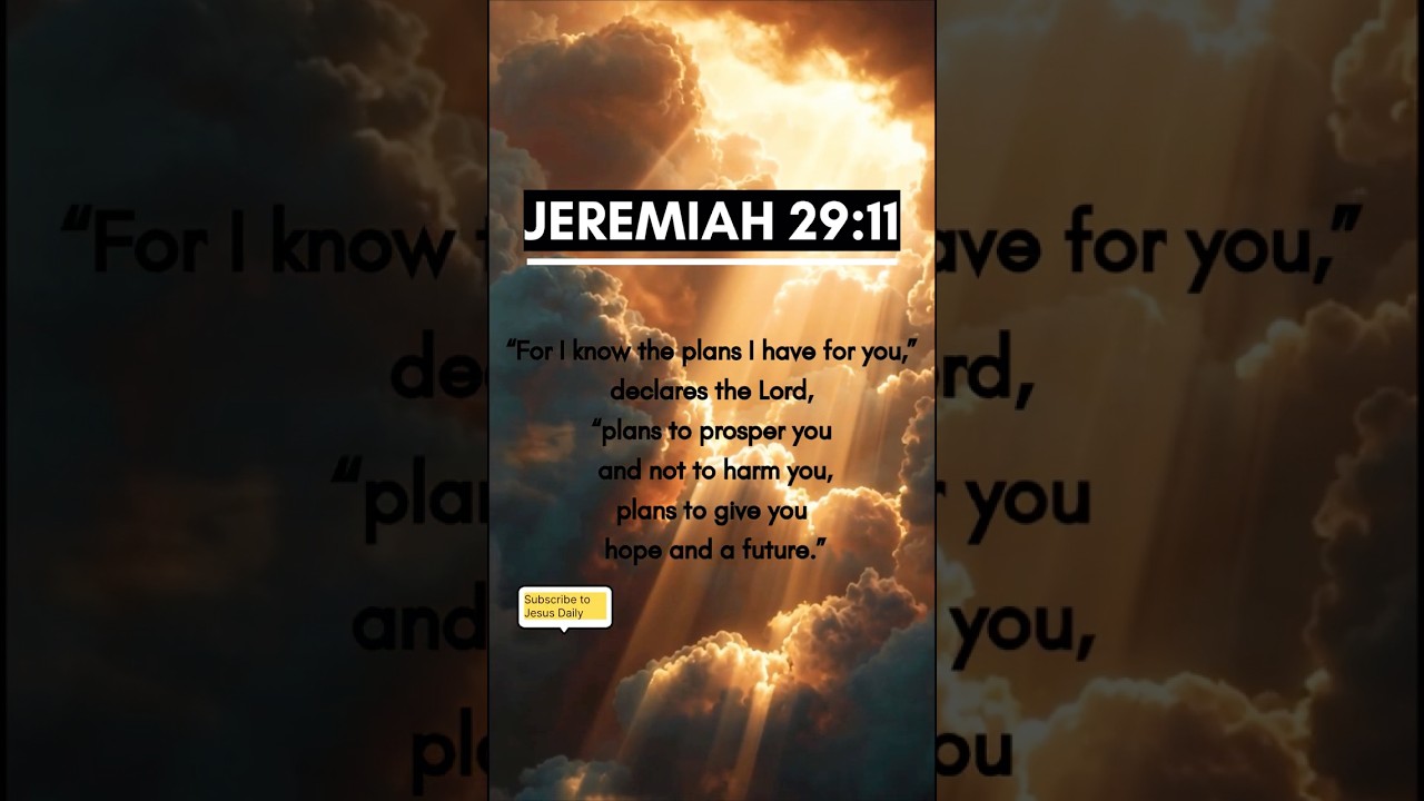 Bible - God’s plan for you is bigger than your fear. 🙏.
