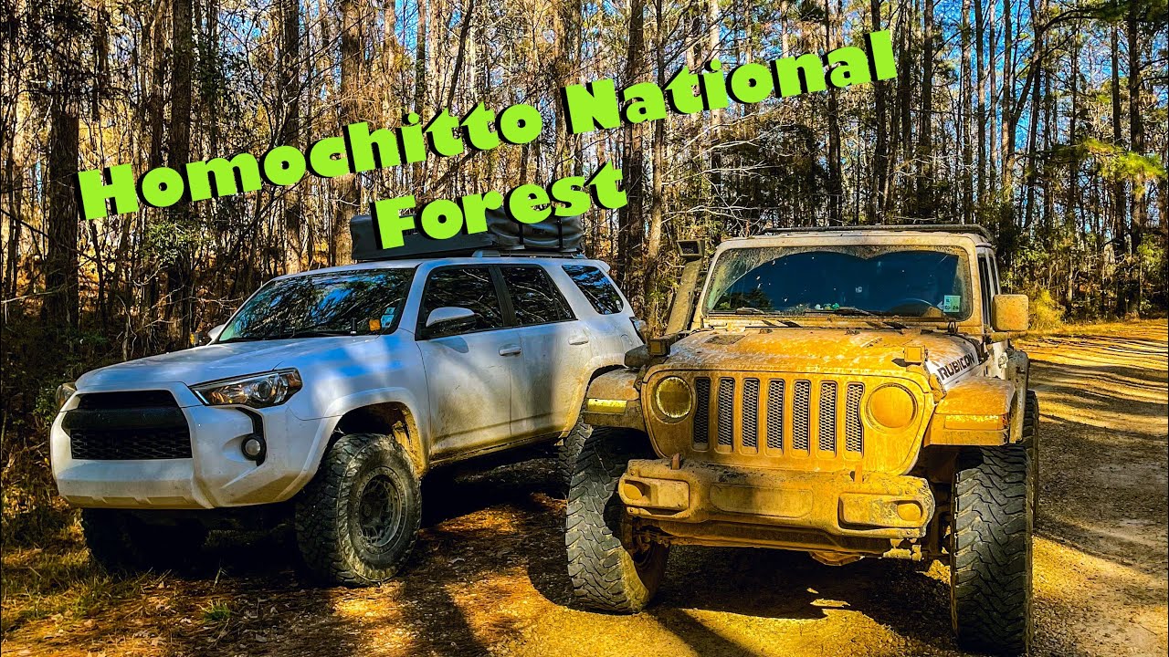 Exploring The Homochitto National Forest!