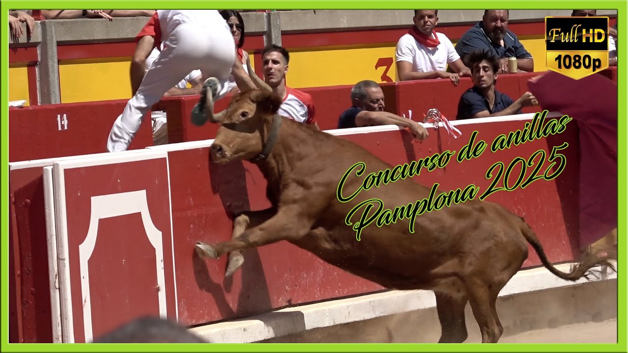 CONCURSO DE ANILLAS PAMPLONA (13-7-25) EULOGIO MATEO
