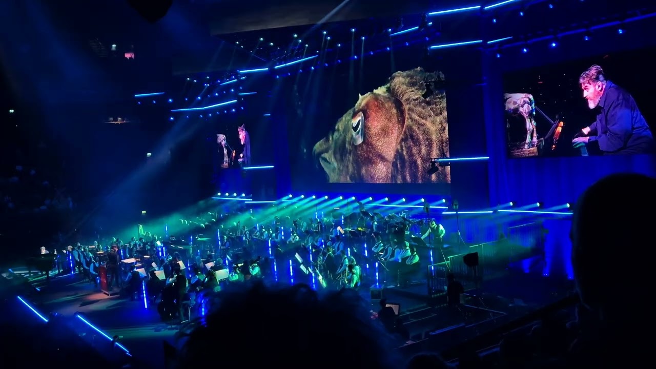 Avond van de Filmmuziek 2025 De Wilde Noordzee Sven Figee #gouden kalf #amsterdam #cinematic