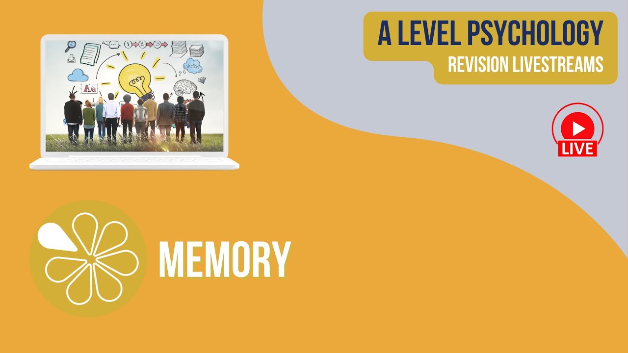 Memory  | Live Revision for AQA A Level Psychology 2024
