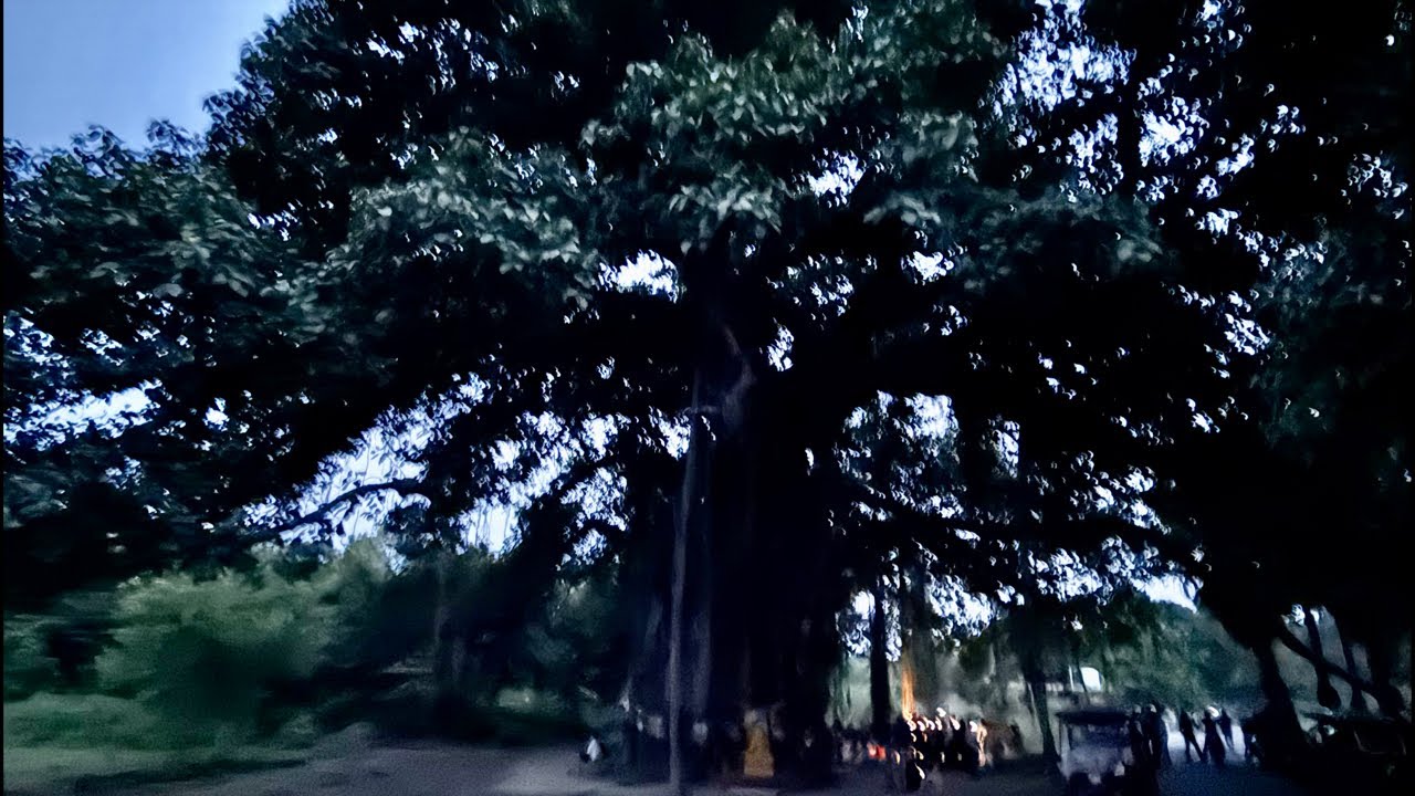 #nhunlangthang livestream