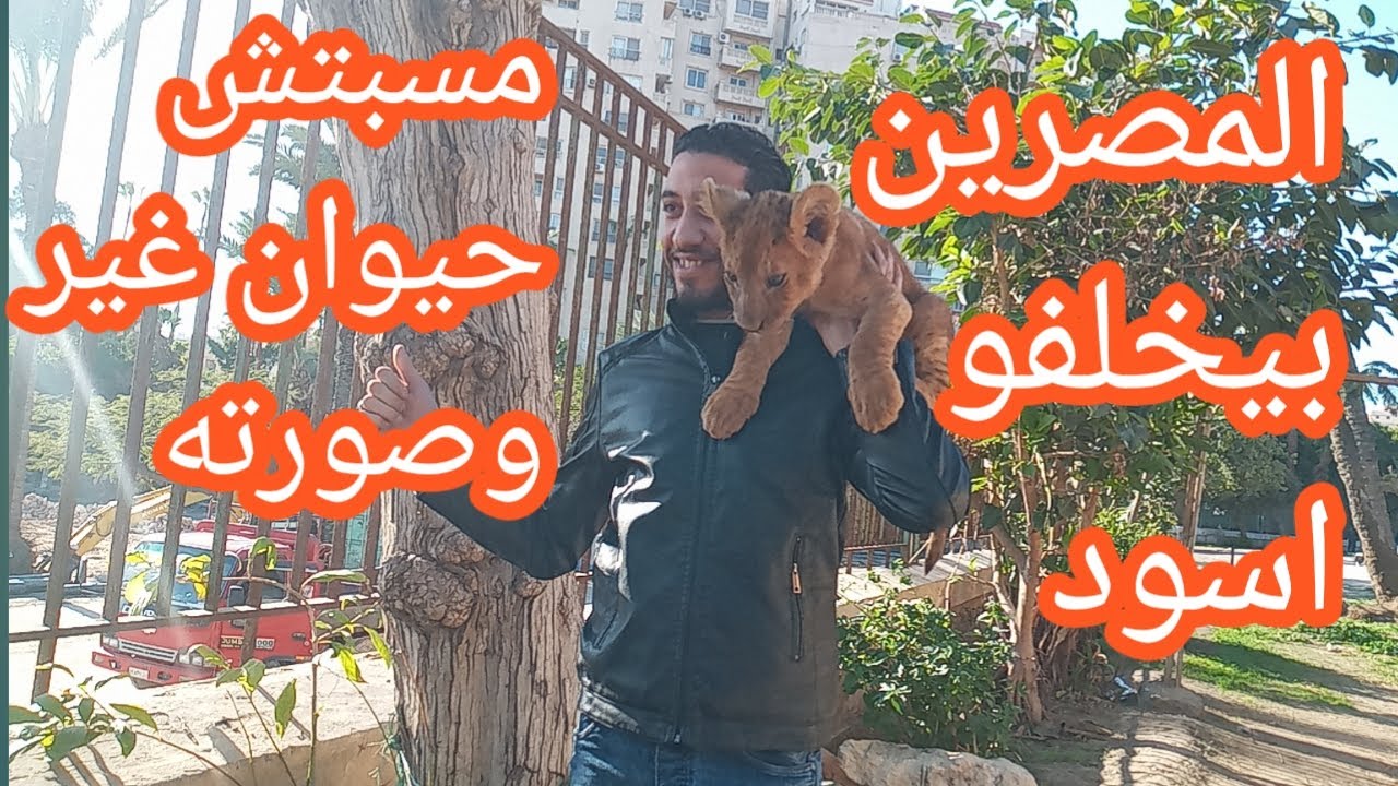 حديقة حيوانات الاسكندرية2023\\بشكل مختلف