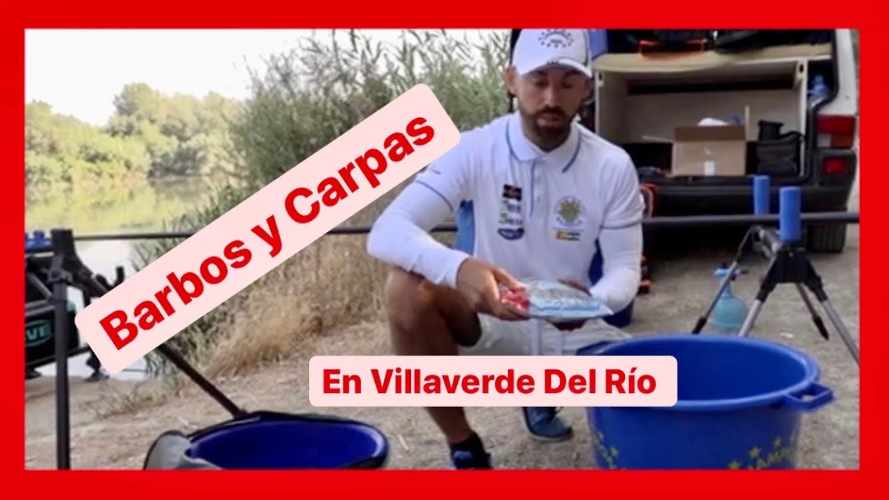 Barbos y Carpas en Villaverde del Rio