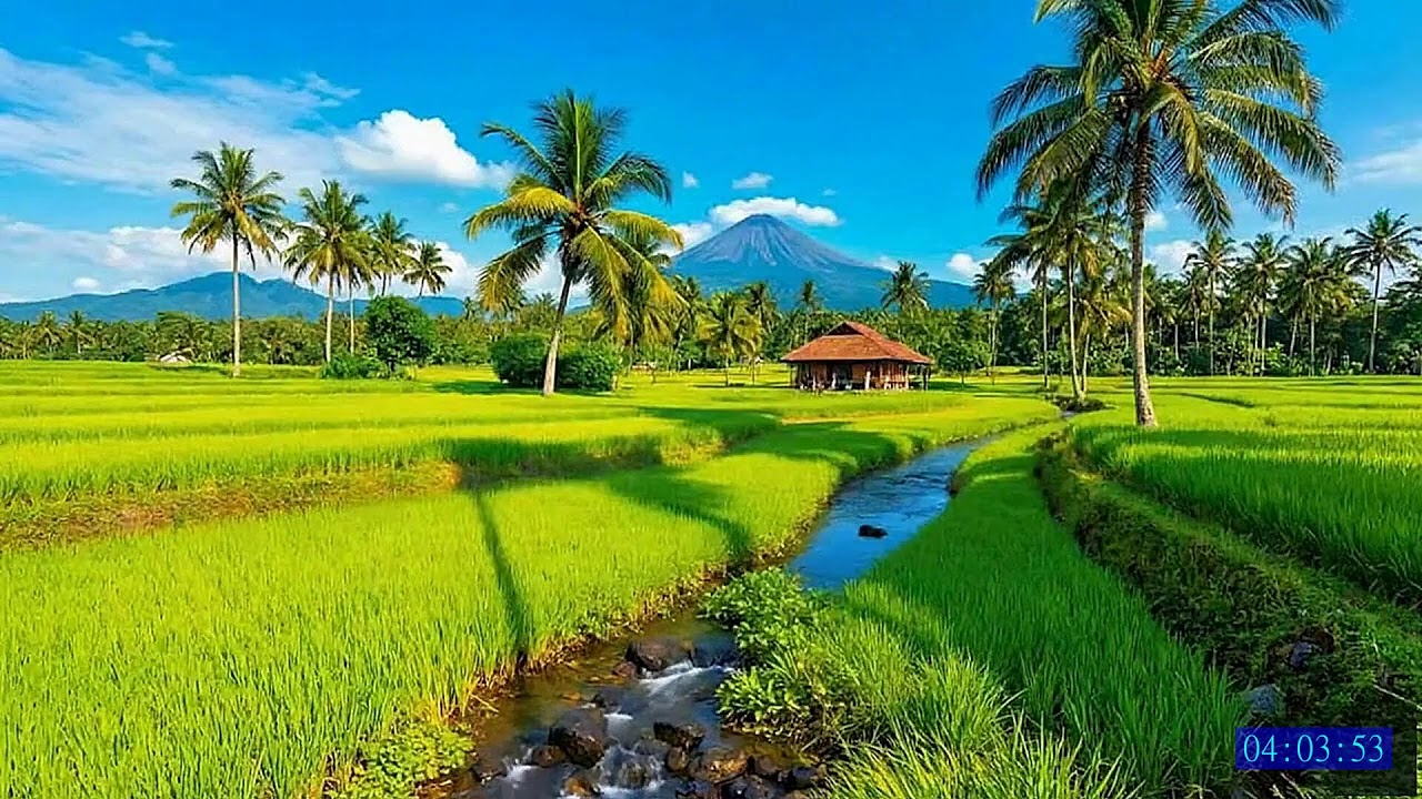 No Ads 4K HDR Peaceful River Water Flow for Restful Nights