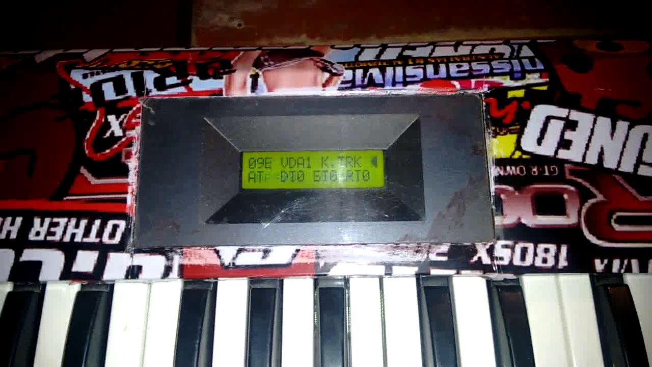 Korg X5D!! Sonido Proteus, Parametros