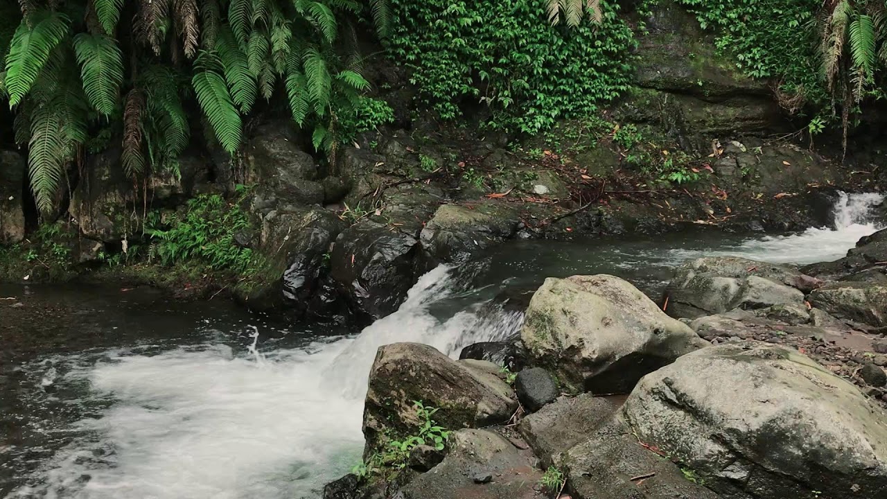 Harmonious Mountain Stream Flow Background Noise | For Mood Boost, Meditation & Instant Sleep