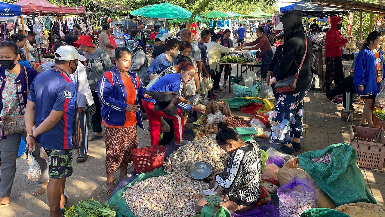เลาะตลาดนัดไทยลาว บ้านหนาด จ.นครพนม ปูแดง แมงจิหล่อ แกงหน้อไม้แซ่บๆ บ้านริมทุ่งนาแม่โขงออนทัวร์