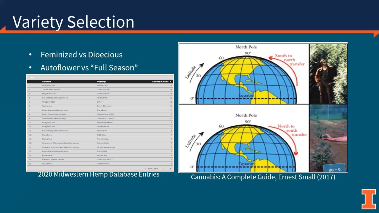 Illinois hemp: production strategies and research updates- Mr. Phillip Alberti, Illinois Extension