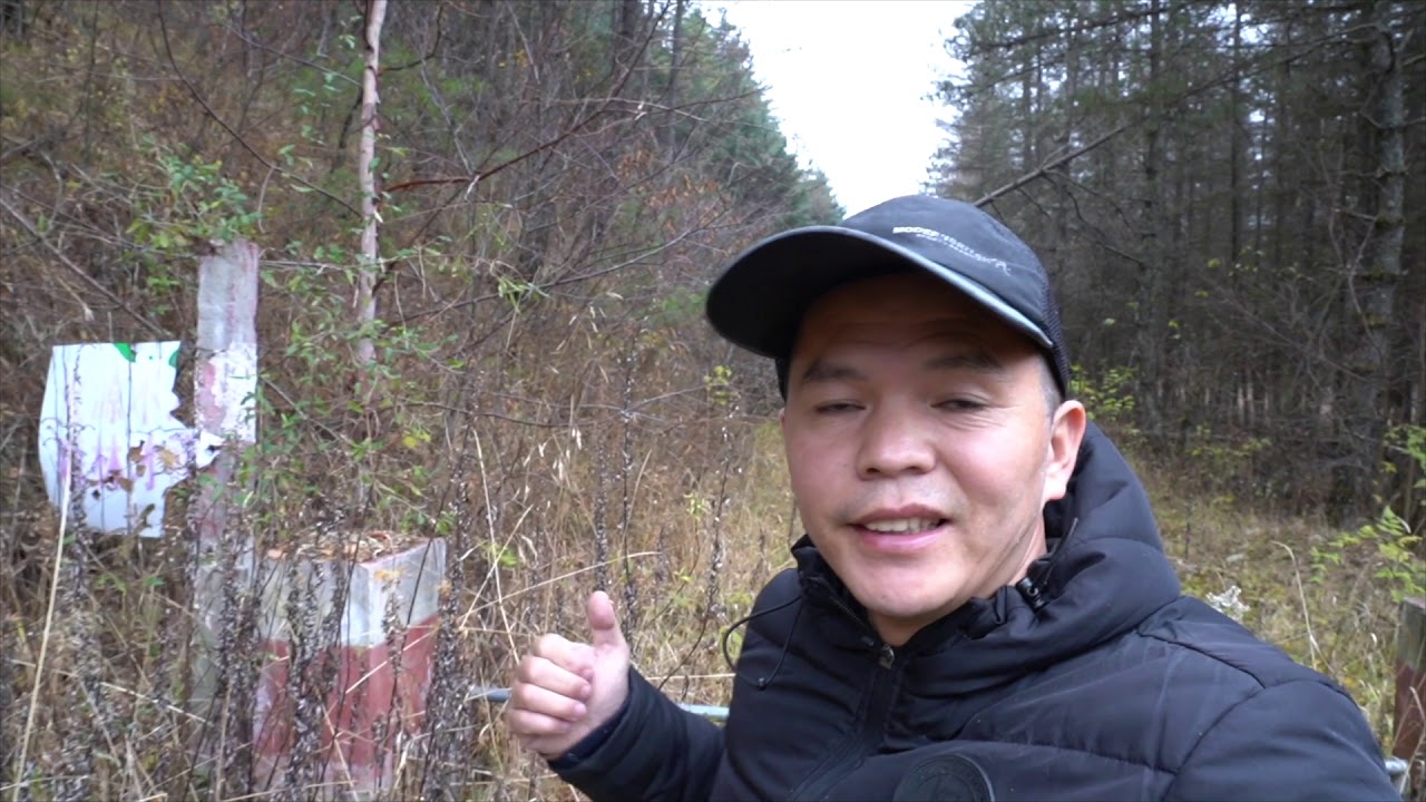 【陝西】化龍山荒野遊記：在深山裡發現一座荒廢的大院，不知做什麼用的。及在密林裡摘野果吃