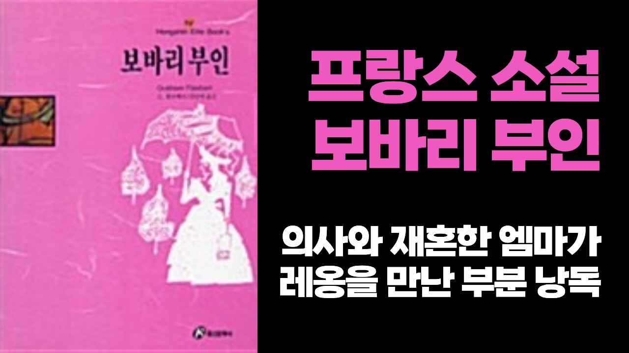 보바리 부인ㅣG,플로베르 ㅣ 홍신문화사(절판도서)