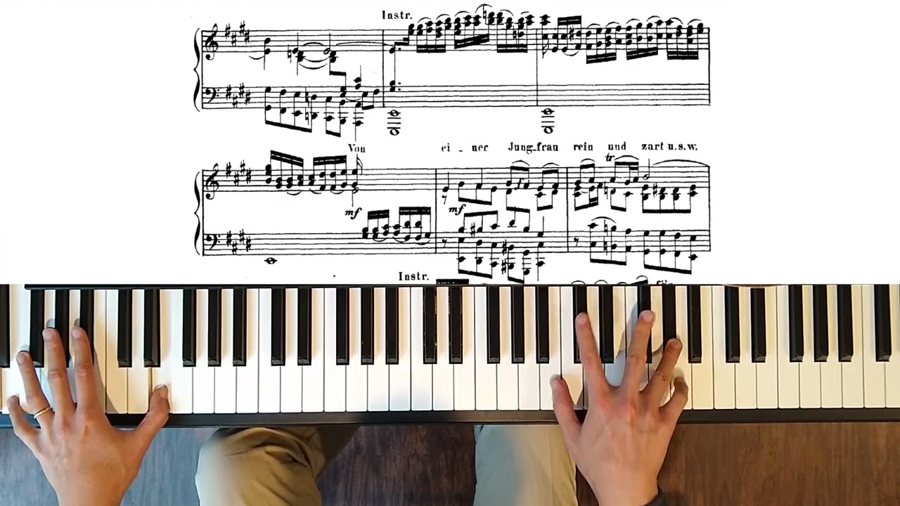 St Matthew Passion: 29. O Mensch, bewein dein Sünde groß (piano transcription)