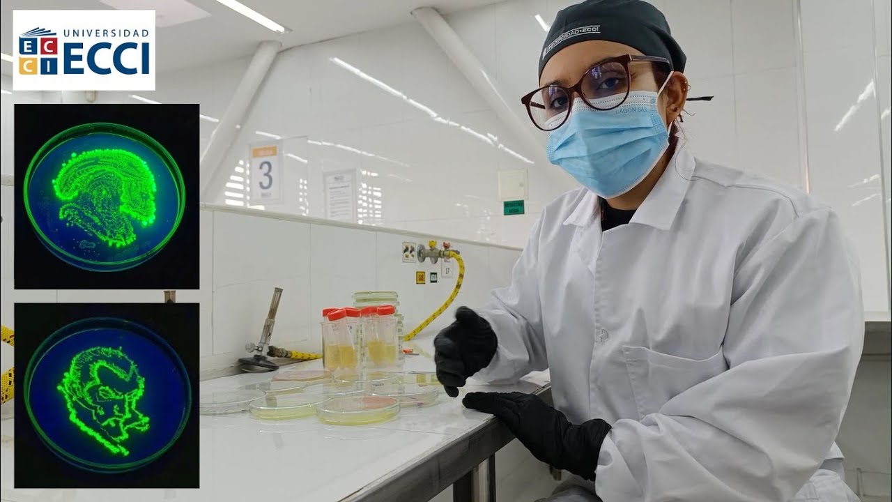 Arte con Agar - Pinta con bacterias fluorescentes y cromogénicas