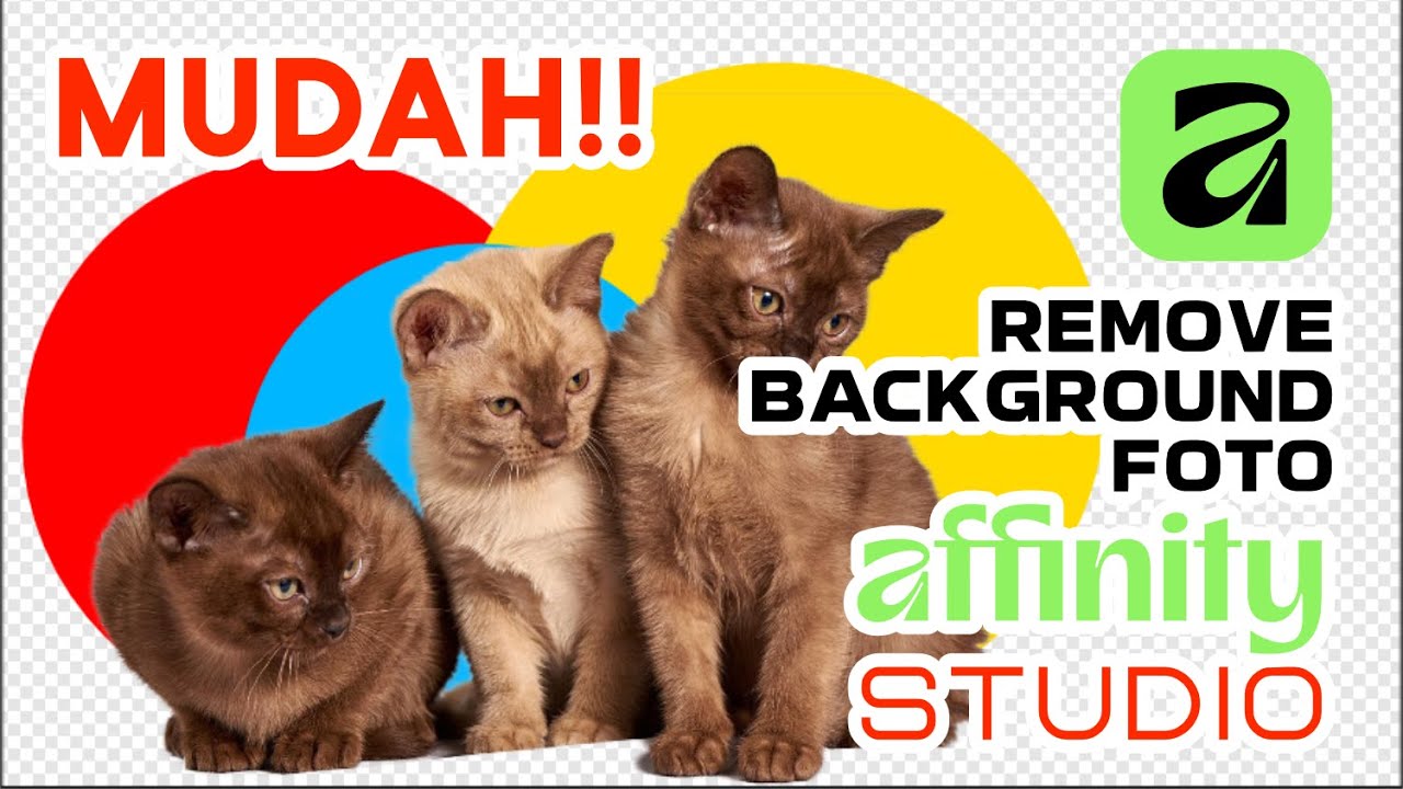 Tutorial Affinity Studio, Cara Hapus Background Foto