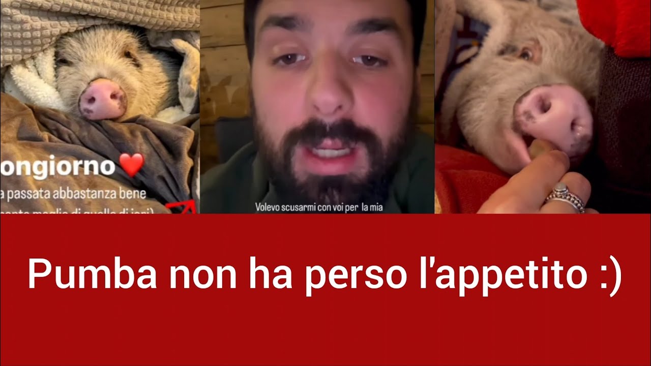 Alcuni aggiornamenti su Pumba - Angolo Di Paradiso Family  30/12/22 #pumba