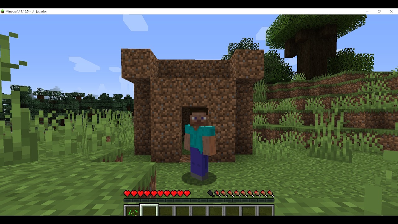 Jugando minecraf por primera vez 😀👍