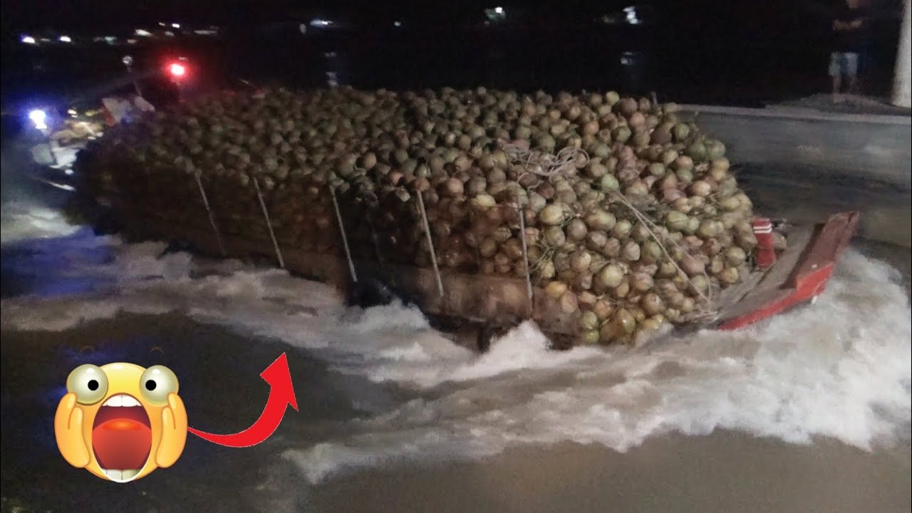 [425] Лодки с кокосами идут против давления воды в опасную ночь