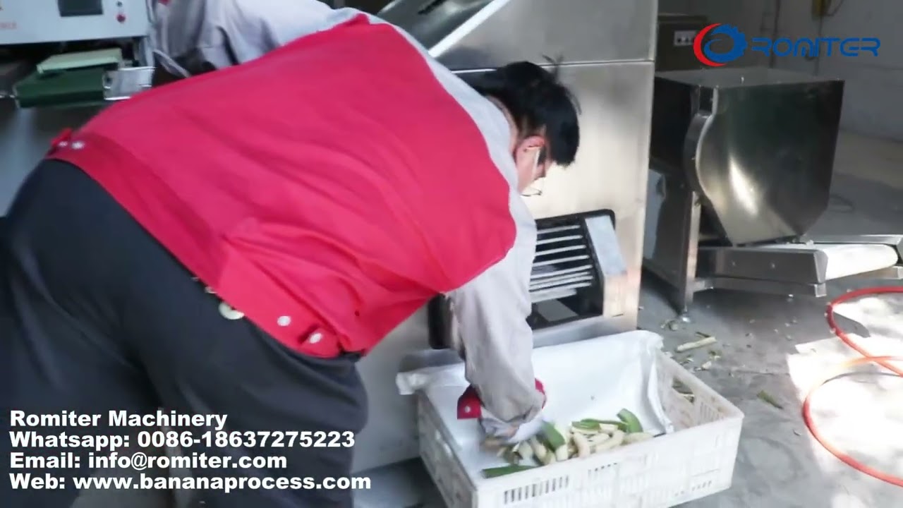 Automatic Green Banana Peeling Machine for Ghana Customer 2026