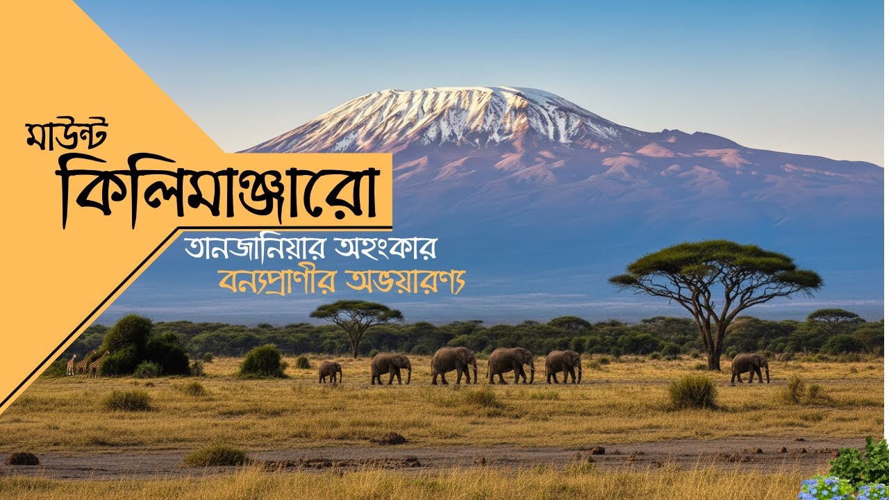 Tanzania Travel Documentary Reveals AFRICAN WILDERNESS Secrets